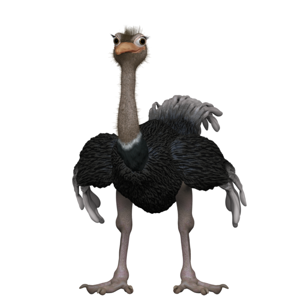 Ollie Ostrich Extended License Adobe Character Animator Digital Puppets